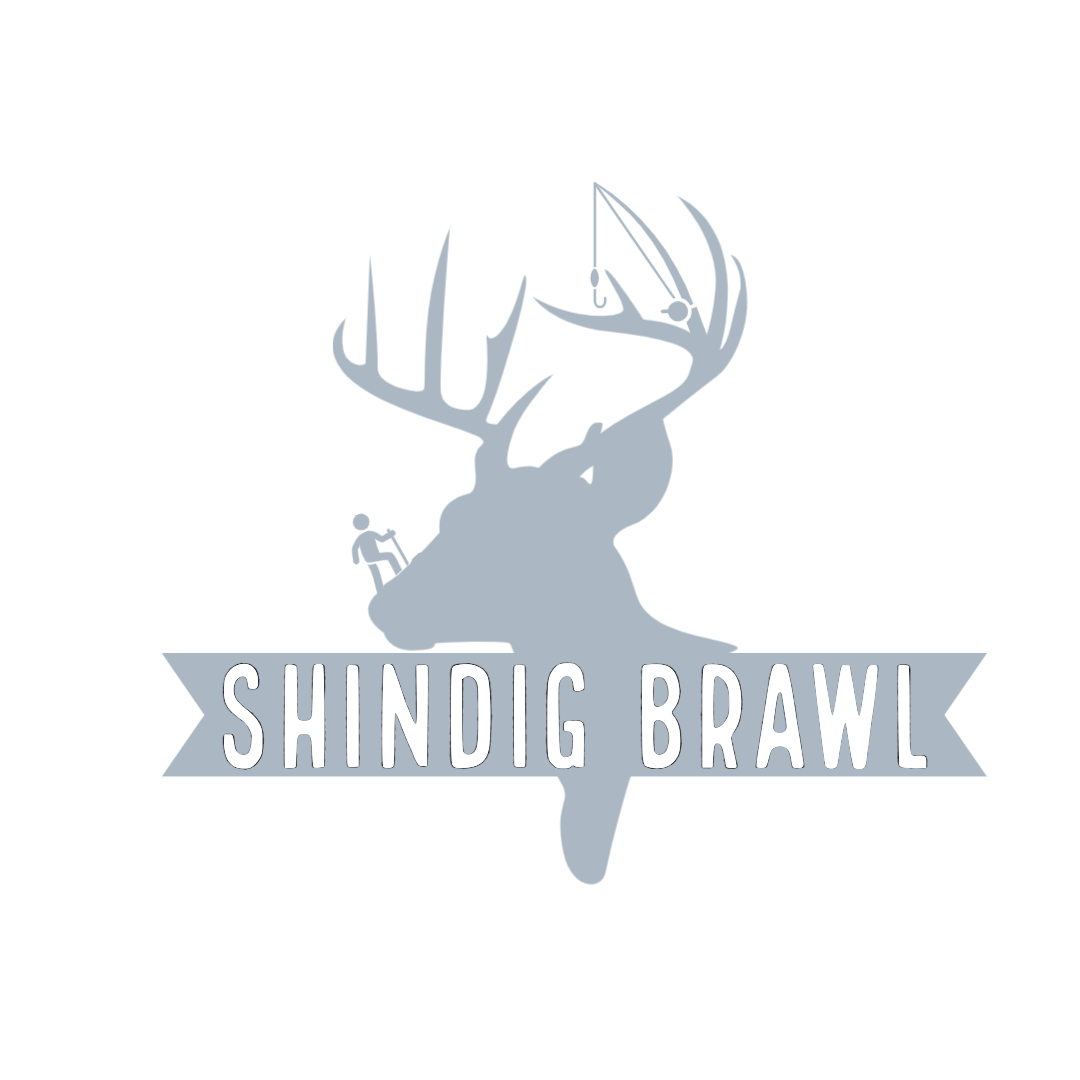 shindigbrawl